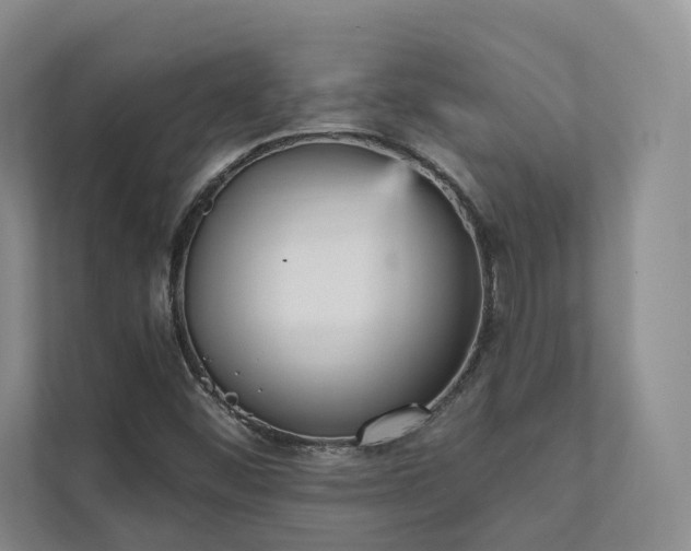 X0000111481452200907210939