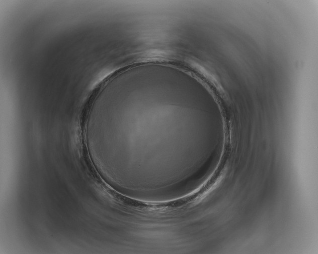 X0000111481453200907210939
