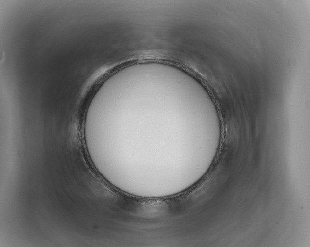 X0000111481454200907210939
