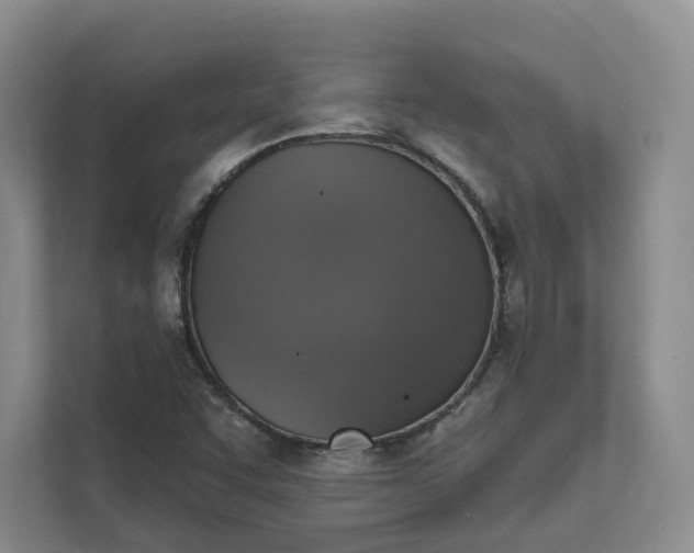 X0000111481455200907210939
