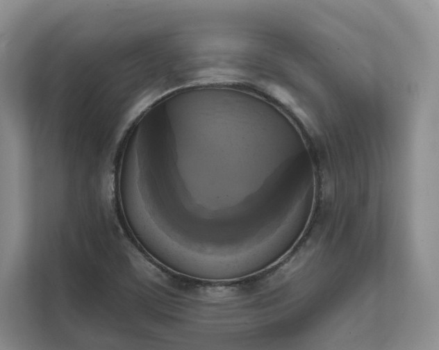 X0000111481459200907210939