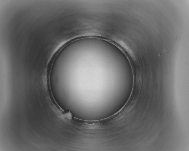 X0000111481460200907210939