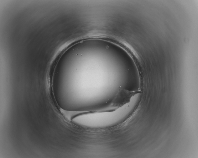 X0000111481461200907210939