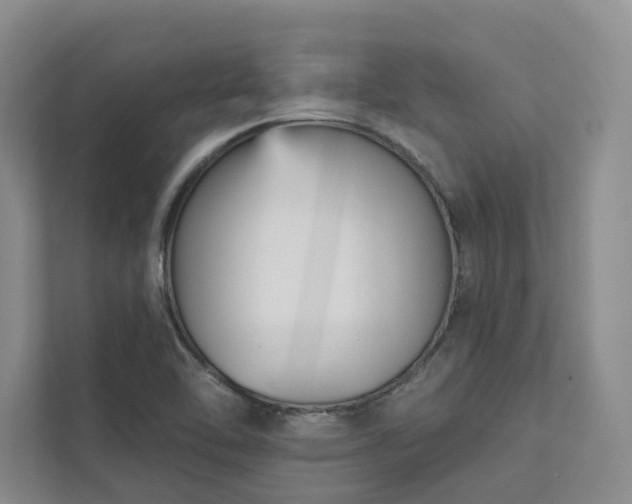 X0000111481462200907210938