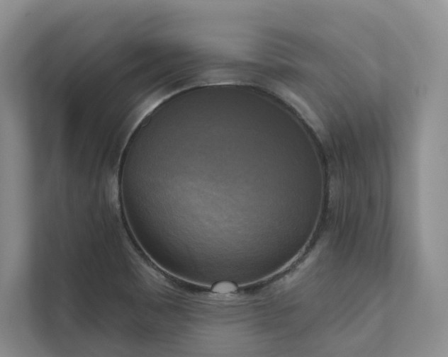 X0000111481465200907210938