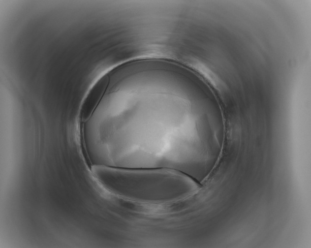 X0000111481468200907210938