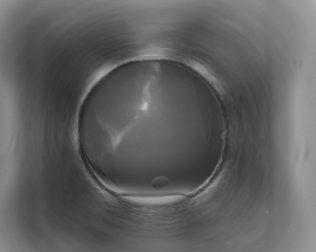 X0000111481469200907210938
