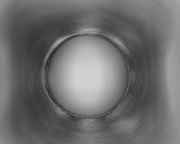 X0000111481470200907210938