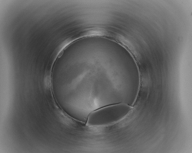 X0000111481473200907210938
