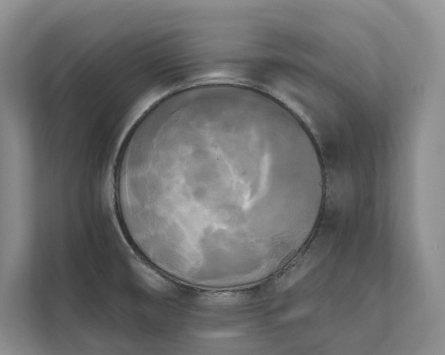 X0000111481474200907210938