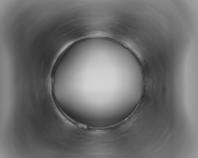 X0000111481476200907210938