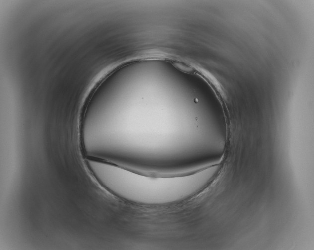 X0000111481477200907210938