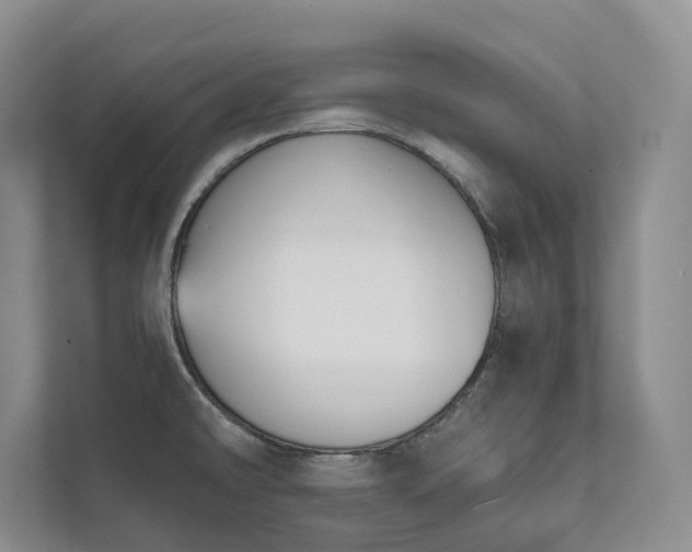 X0000111481478200907210938
