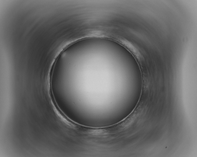 X0000111481479200907210938
