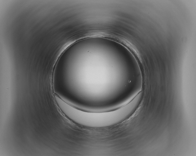 X0000111481481200907210938