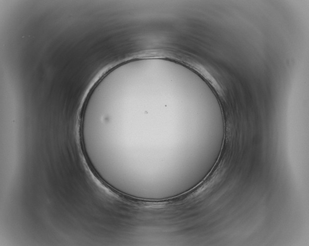 X0000111481484200907210938