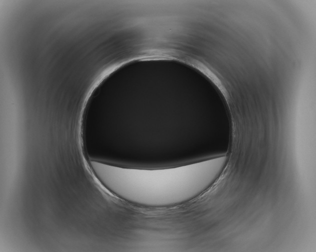 X0000111481485200907210938