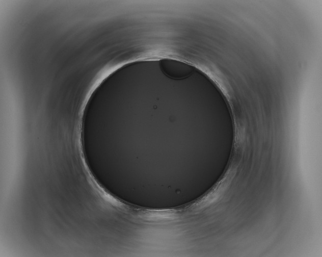 X0000111481486200907210938