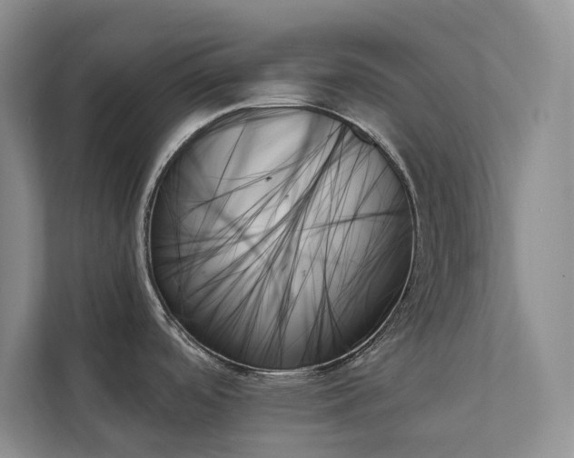 X0000111481488200907210938