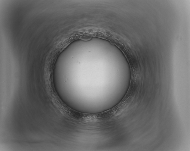 X0000111481489200907210938