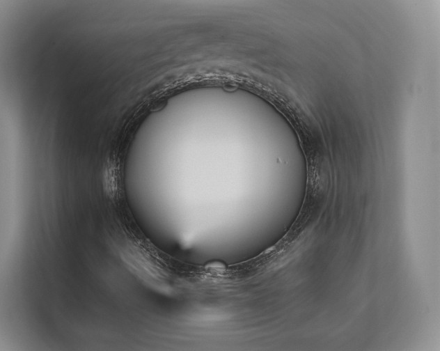 X0000111481490200907210938
