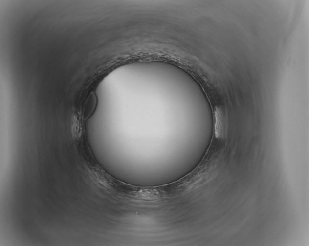 X0000111481491200907210938