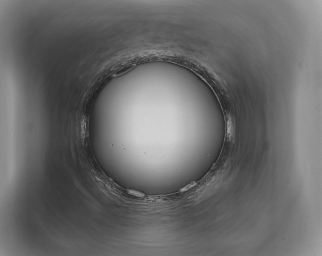 X0000111481492200907210938