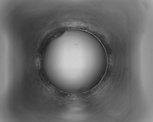 X0000111481493200907210938