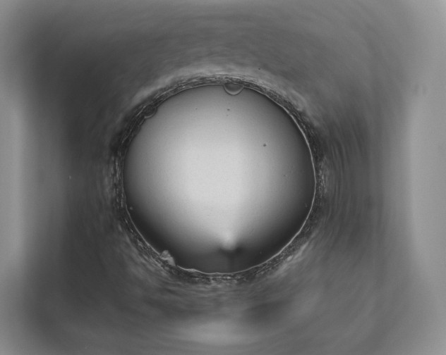 X0000111481494200907210938