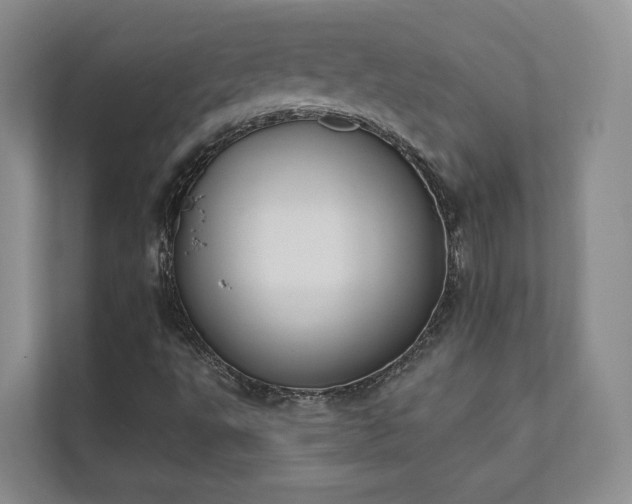 X0000111481495200907210938