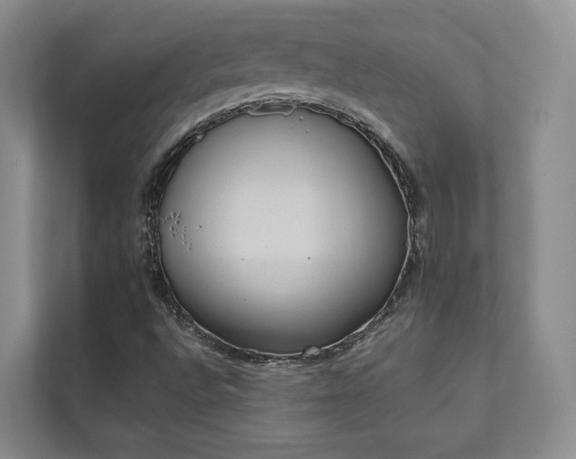 X0000111481496200907210938