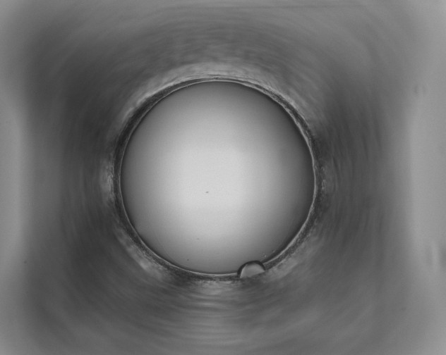 X0000111481499200907210938