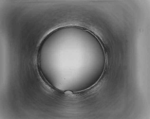 X0000111481500200907210938