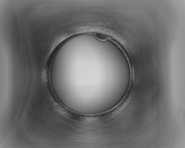 X0000111481501200907210938