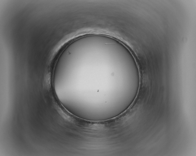 X0000111481503200907210938