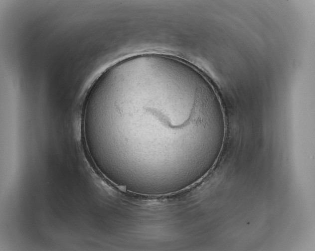 X0000111481504200907210938
