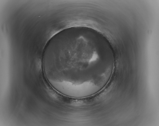 X0000111481505200907210938