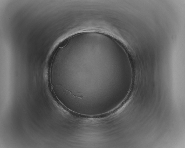 X0000111481506200907210938