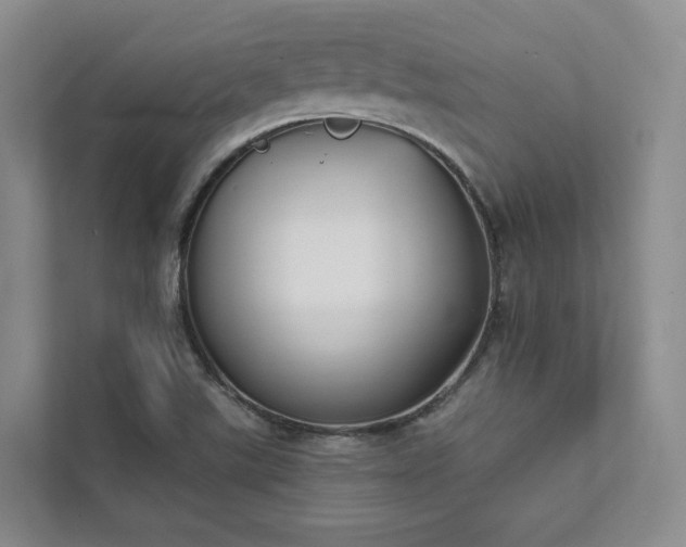 X0000111481507200907210938