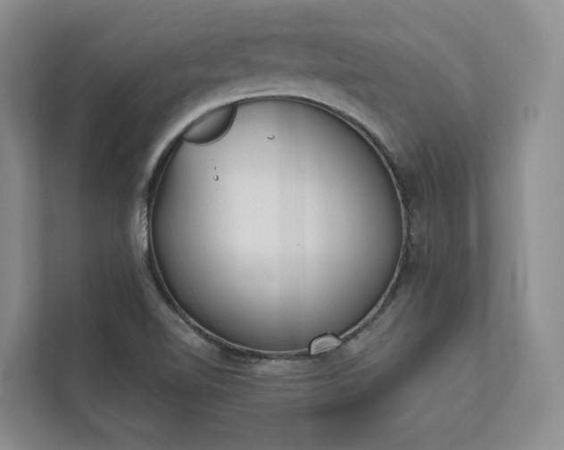 X0000111481510200907210938