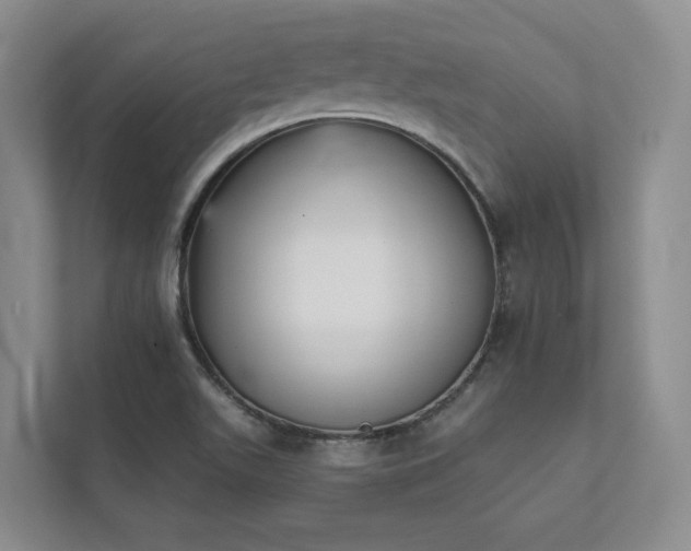 X0000111481511200907210938