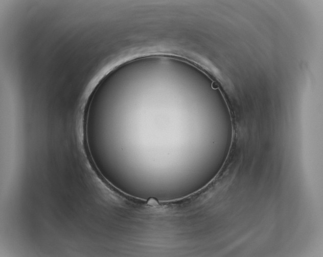 X0000111481512200907210938