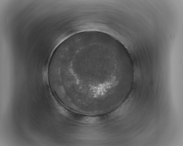 X0000111481513200907210938
