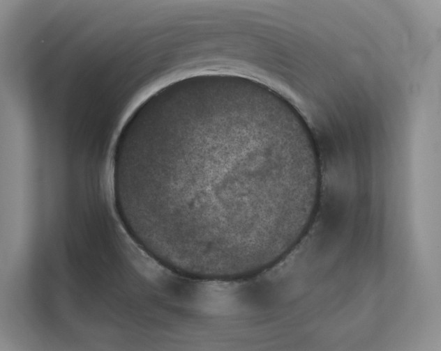 X0000111481514200907210938