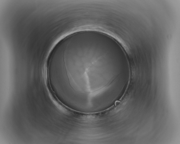 X0000111481515200907210938