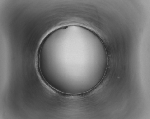 X0000111481518200907210938