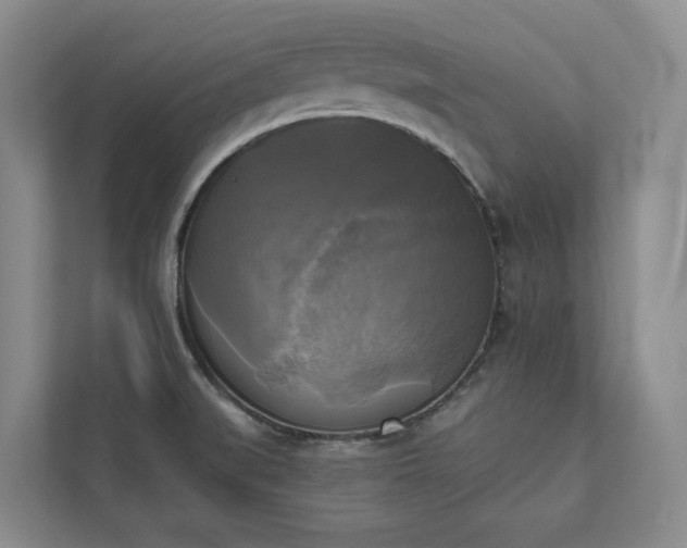 X0000111481519200907210938