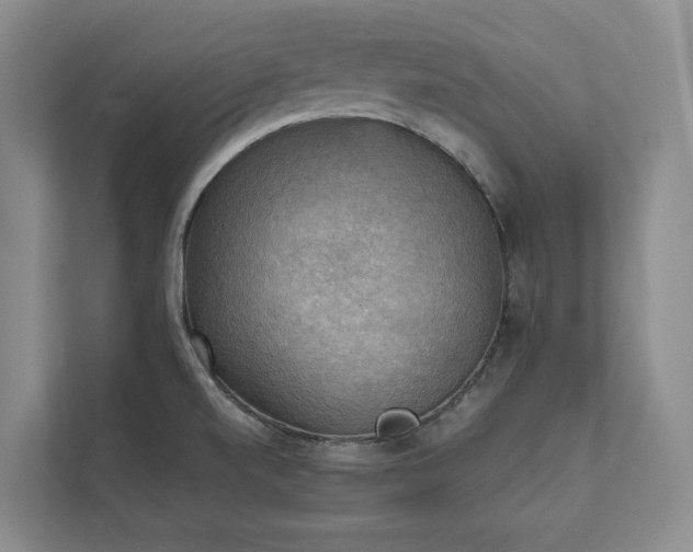 X0000111481520200907210938