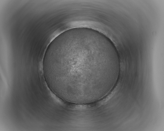 X0000111481521200907210938