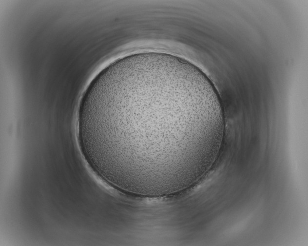 X0000111481523200907210938